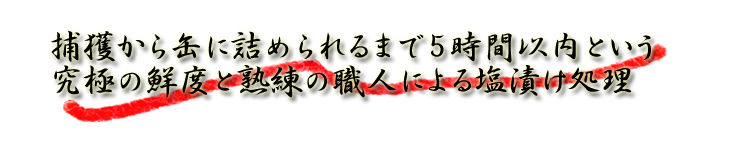 捕獲から缶に詰めるまで５時間以内という究極の鮮度