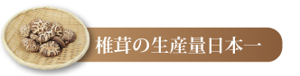 椎茸の生産量日本一