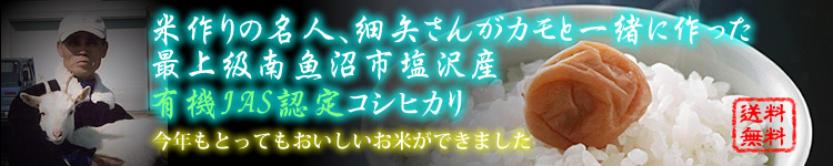 細矢さんの新潟県南魚沼産アイガモ有機コシヒカリ