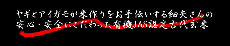 安心・安全にこだわった有機JAS認定黒米