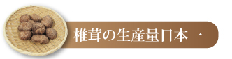 椎茸の生産量日本一