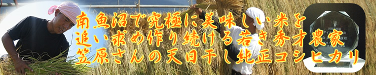 笠原さんの新潟県南魚沼産天日干し有機純正コシヒカリ